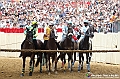 VBS_1046 - Palio di Asti 2024